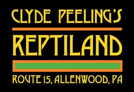 Komodo Dragon Feeding – Clyde Peeling’s Reptiland