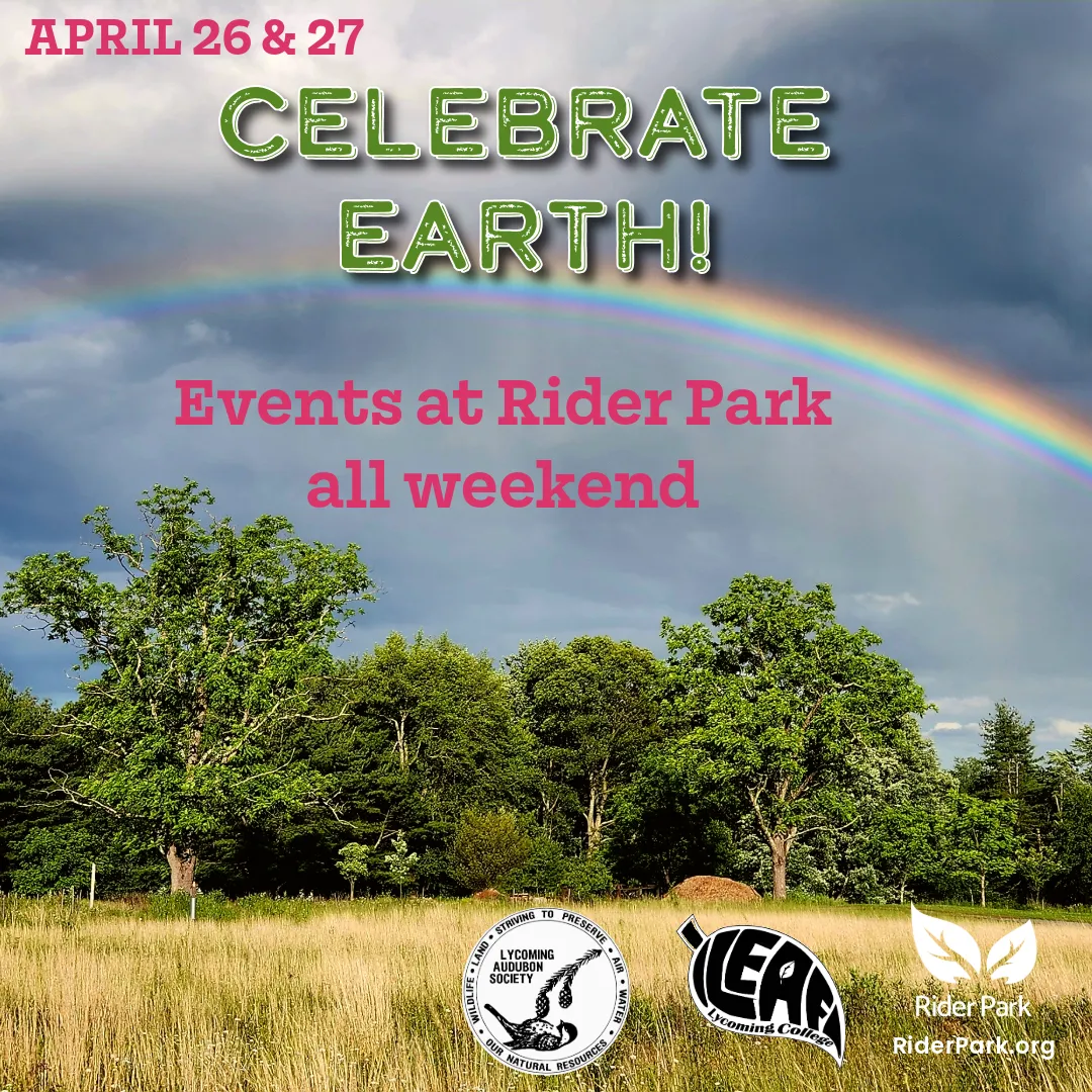 Celebrate Earth