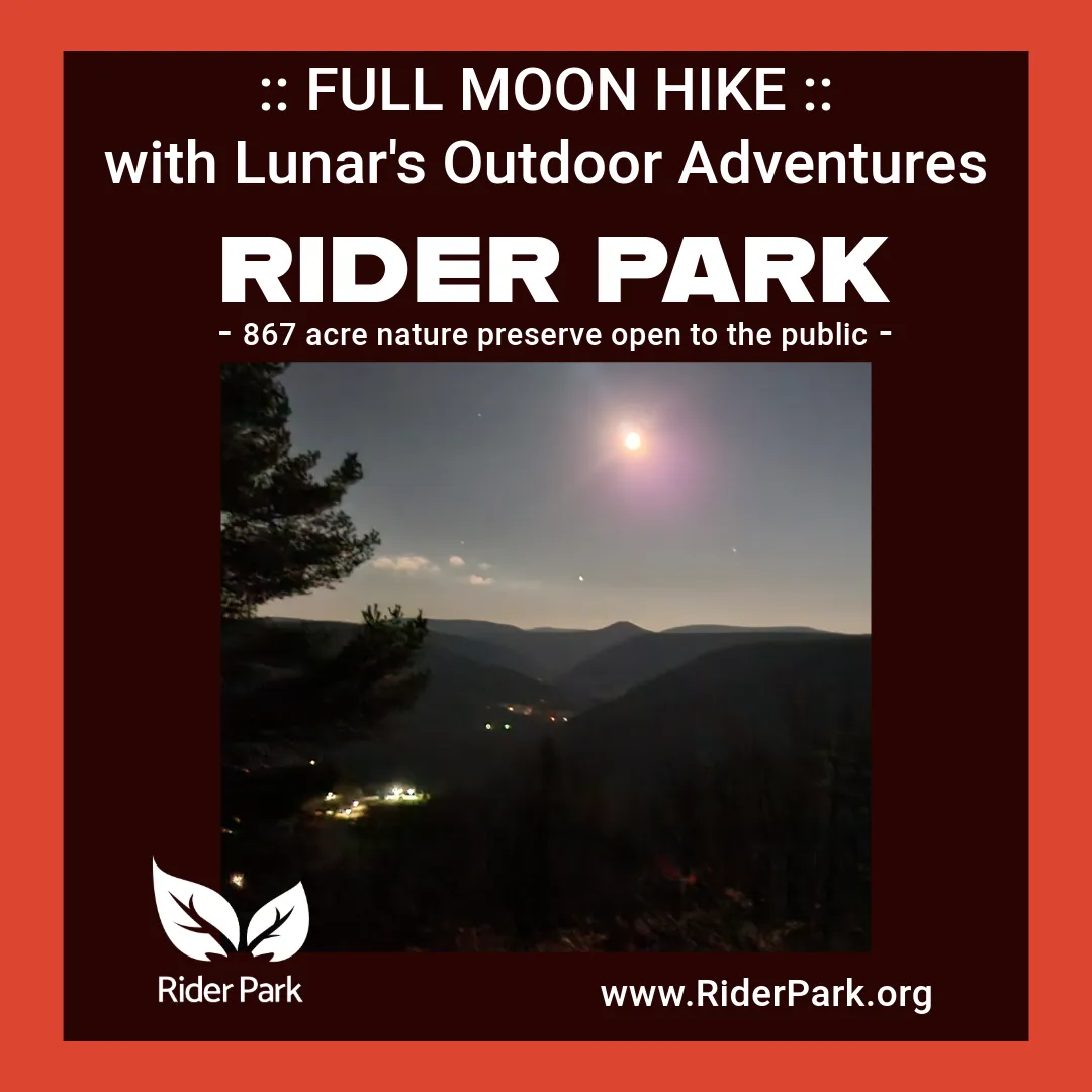 FullMoon