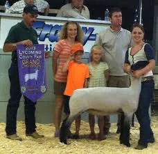 Lycoming County Fair